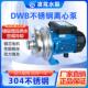 1.1不锈钢泵污水增压泵洗碗机泵 DWB300 厂家直销凌霄DWB250 075