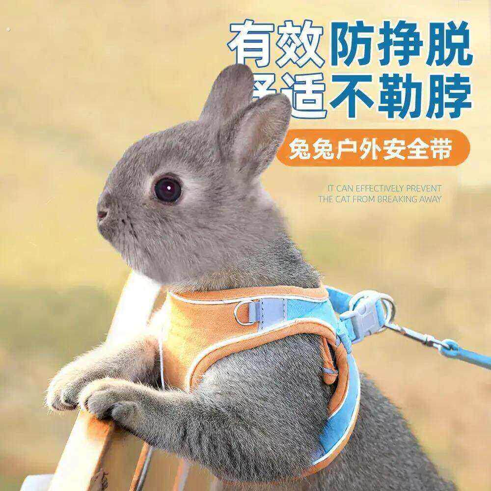 兔子牵引绳防挣脱遛小兔子专用神器背心式可伸缩外出的衣服溜绳子