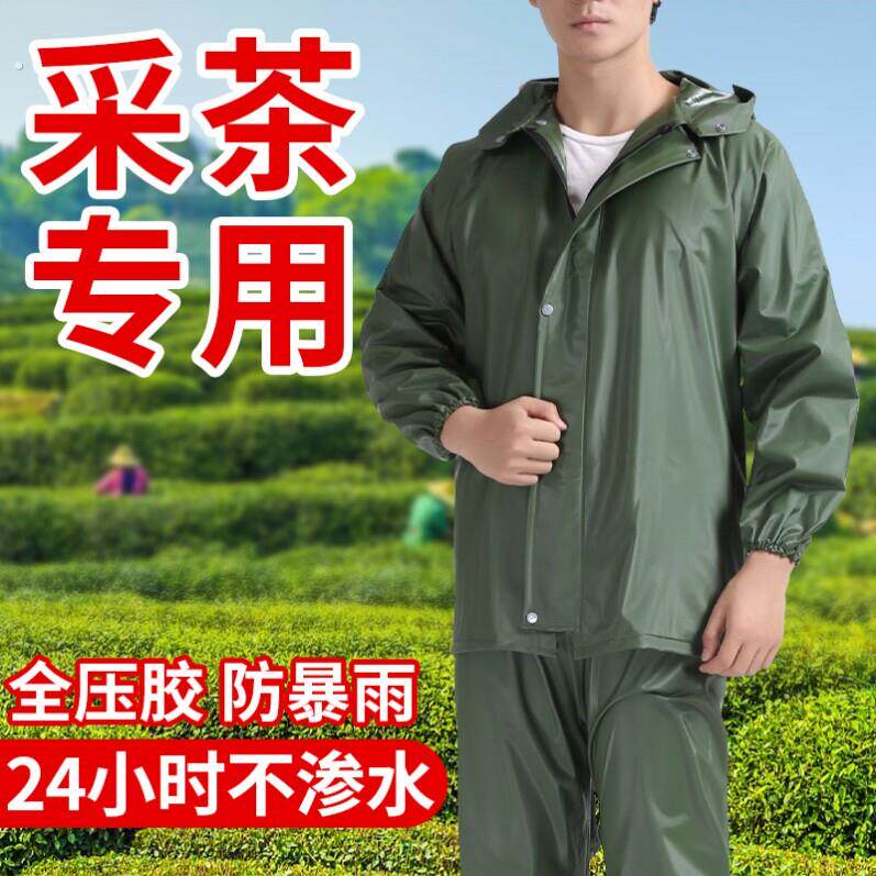 采茶专用雨衣男款采茶户外工作便携式雨衣农民干活耐磨防暴雨套装