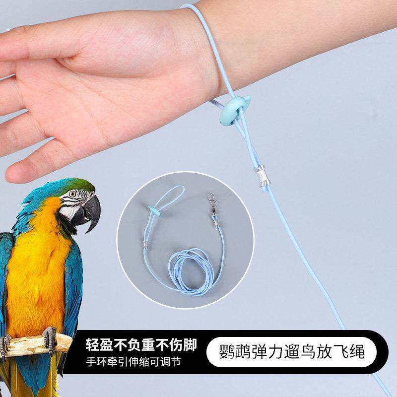 鹦鹉放飞绳超轻小鸟牵引绳脚环不伤脚虎皮牡丹玄凤专用遛鸟飞行绳
