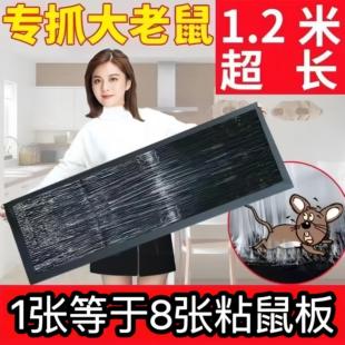 超强力粘鼠板大老鼠贴捕鼠老鼠神器克星透明隐形大号家用灭黏粘鼠