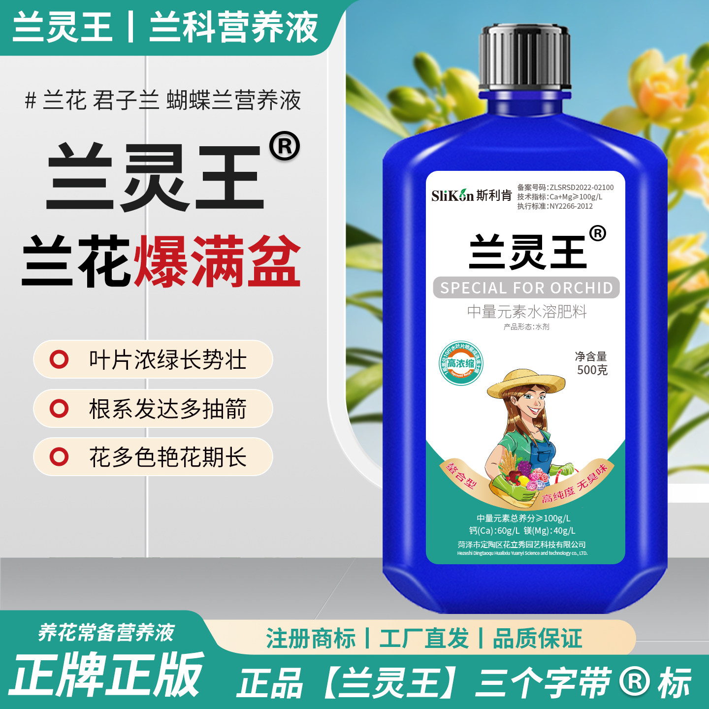 兰灵王兰花专用营养液绿叶促花图片