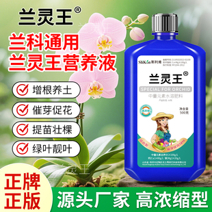 兰灵王兰花专用营养液肥料正品 催芽多箭素君子兰蝴蝶兰通用兰陵王