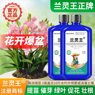 兰灵王兰花专用营养液肥料正品 催芽促花肥君子兰蝴蝶兰通用兰陵王