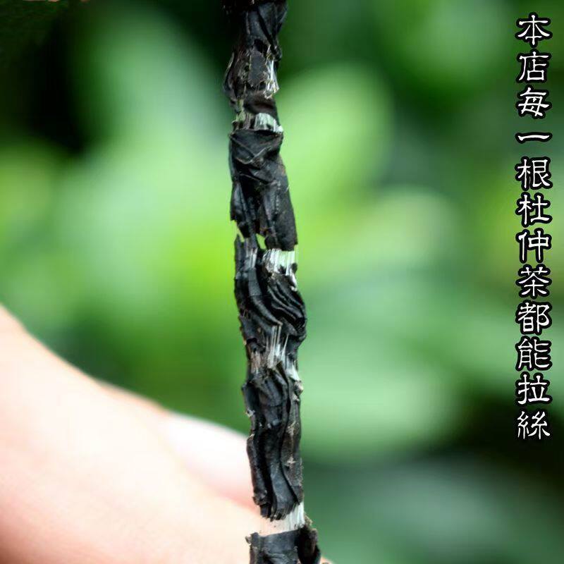 张家界杜仲茶杜仲茶叶杜仲大叶茶非野生雄花绞股蓝降杜仲茶