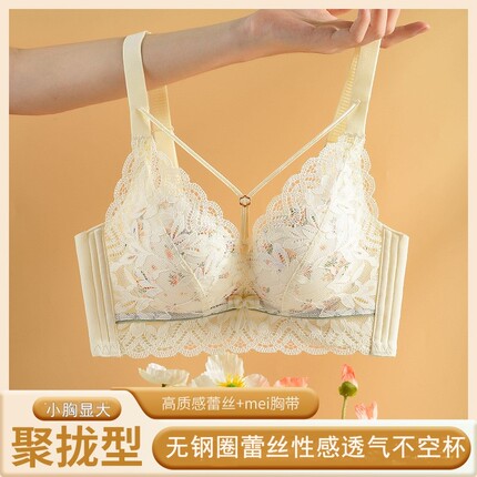 慧鸿敏轩内衣小胸显大收副乳防外扩调整型聚拢无钢圈上托透气文胸