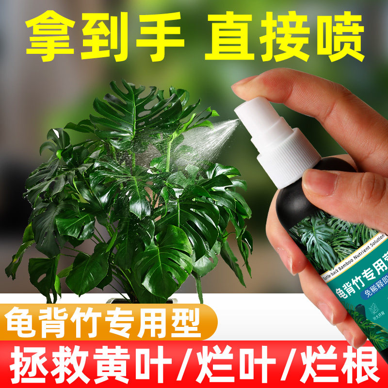 水培龟背竹专用营养液免稀释型肥图片