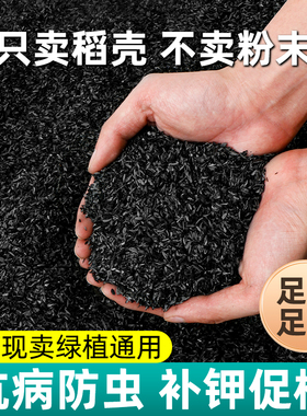 稻壳炭种菜有机肥料颗粒草木灰稻壳碳园艺兰花多肉改良杀虫营养土