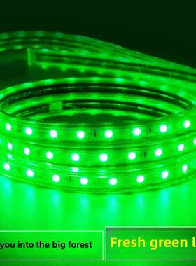 led绿色灯带条220v户外防水超亮公园绿植ktv霓虹室外亮化单排线灯