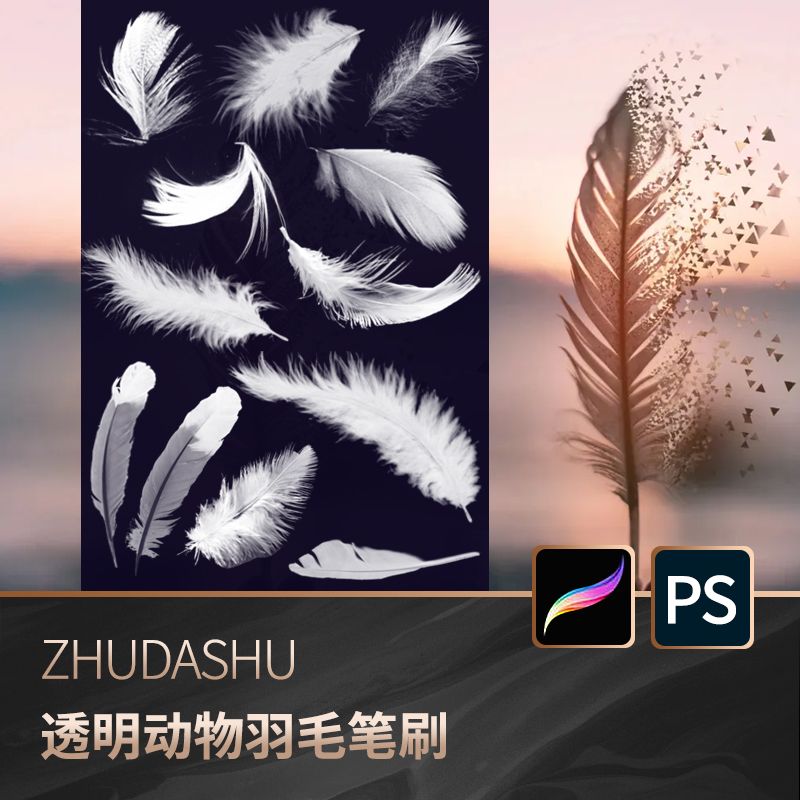 procreate笔刷ps笔刷飘落仙美白色动物羽毛唯美后期特效透明素材