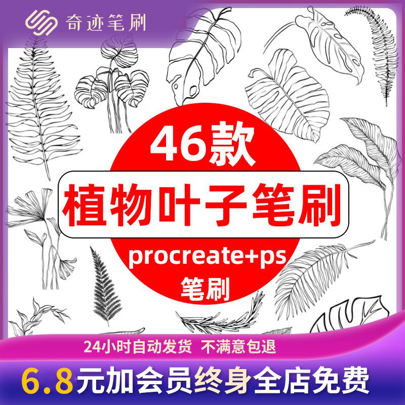 procreate笔刷植物叶子线稿手绘热带绿植树装饰水印ps笔刷素材