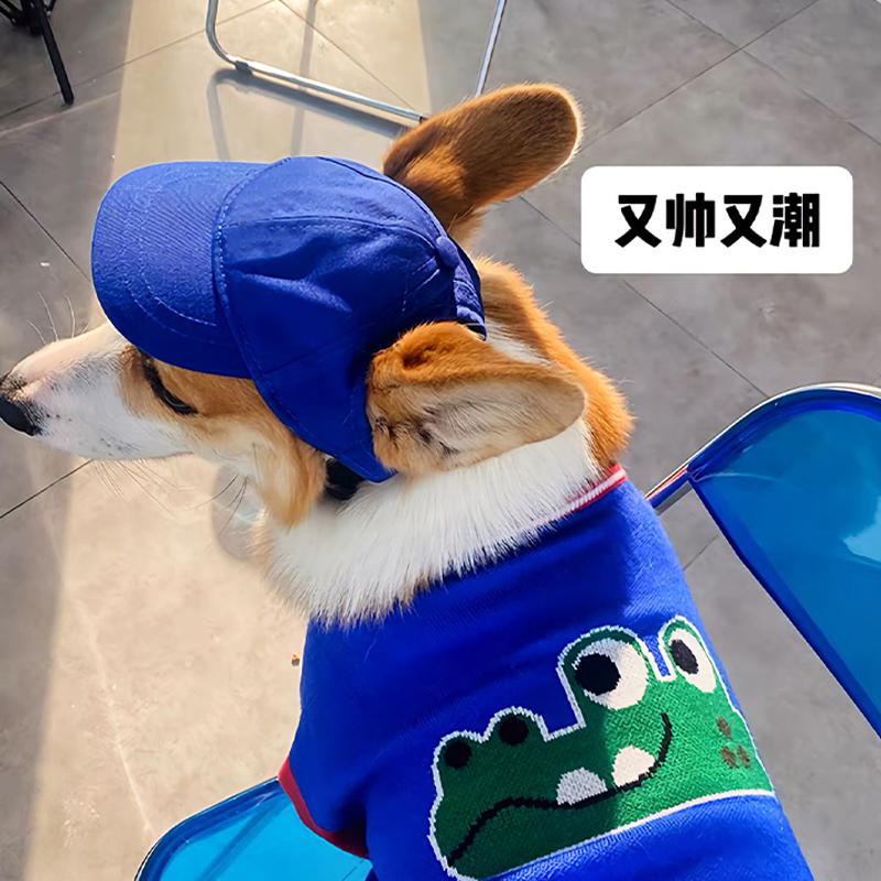 狗狗防曬帽鴨舌帽可調節夏季柯基