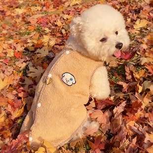 狗狗衣服流汗小狗马甲秋冬款泰迪比熊博美保暖背心绒绒衣宠物服装