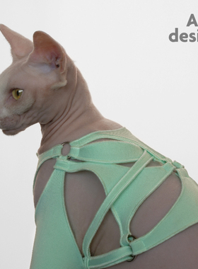 ARCdesign解构猫咪衣服斯芬克斯无毛猫薄款比鲁斯猫纯棉夏德文