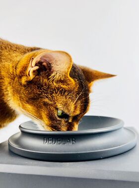 ARCUSCUB|dedelab水泥宠物碗浅口进食碟子设计师品牌小众宠物用品