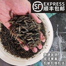 黑壳虾除藻虾水族除藻虾观赏虾清洁虾活体饲料工具虾草缸顺丰 包邮