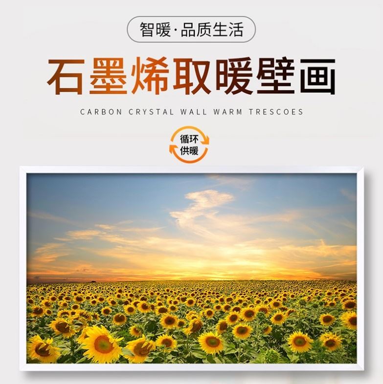 石墨烯碳晶墙暖壁画电暖器壁挂式速热节能家用取暖器办公室电暖画 生活电器 暖风机/取暖器 原图主图