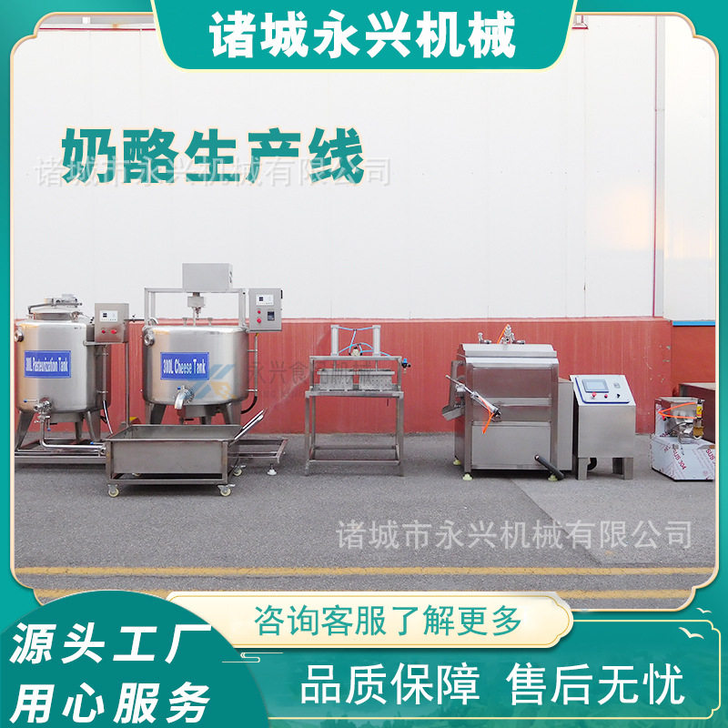 马苏里拉鲜奶酪球全套加工设备 奶酪加工生产线