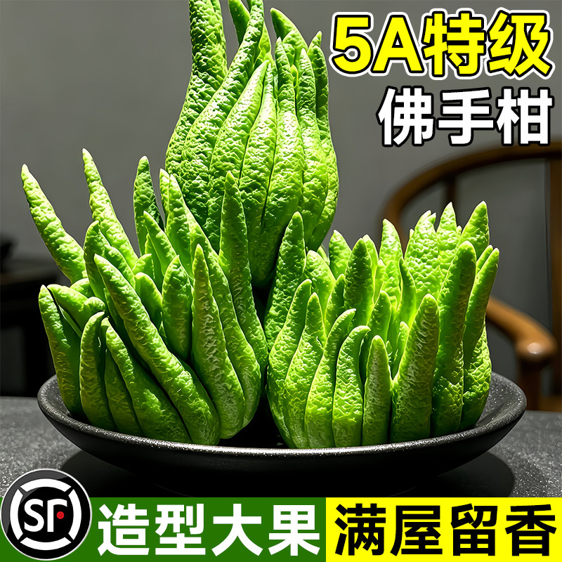 佛手柑鲜果新鲜佛手瓜切带枝室内摆件清供观赏闻香可食用绿植盆栽