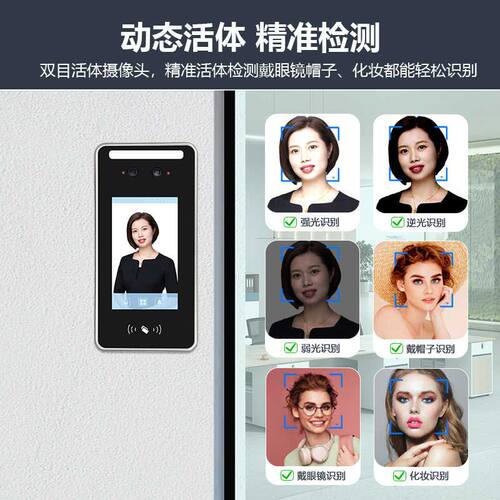 动态防水人脸识别门禁机电磁锁玻璃门铁门木门门禁系统All套装