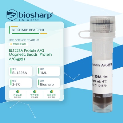 白鲨BiosharpBL1226A Protein A/G磁珠