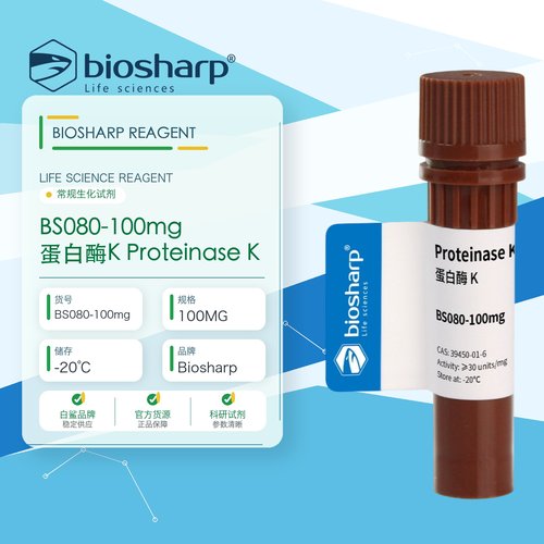 白鲨BiosharpBS080-100mg 蛋白酶K Proteinase K