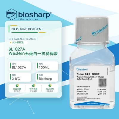 白鲨BiosharpBL1027A Western无蛋白一抗稀释液