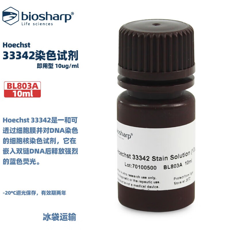 白鲨 BL803A Hoechst 33342染色试剂(即用型10ug/ml)买一送一-封面