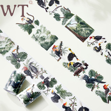 WT原创胶带 肥鸟集 手帐胶带飞鸟主题鹦鹉和纸PET百搭装饰Ins风