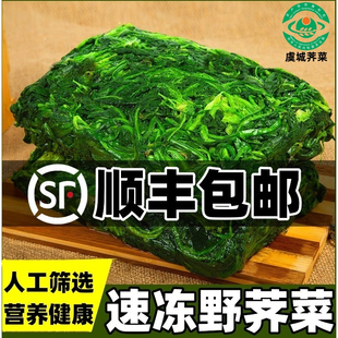 顺丰荠菜野菜新鲜包邮整棵冷冻荠荠菜馄饨饺子馅速冻野生荠菜商用