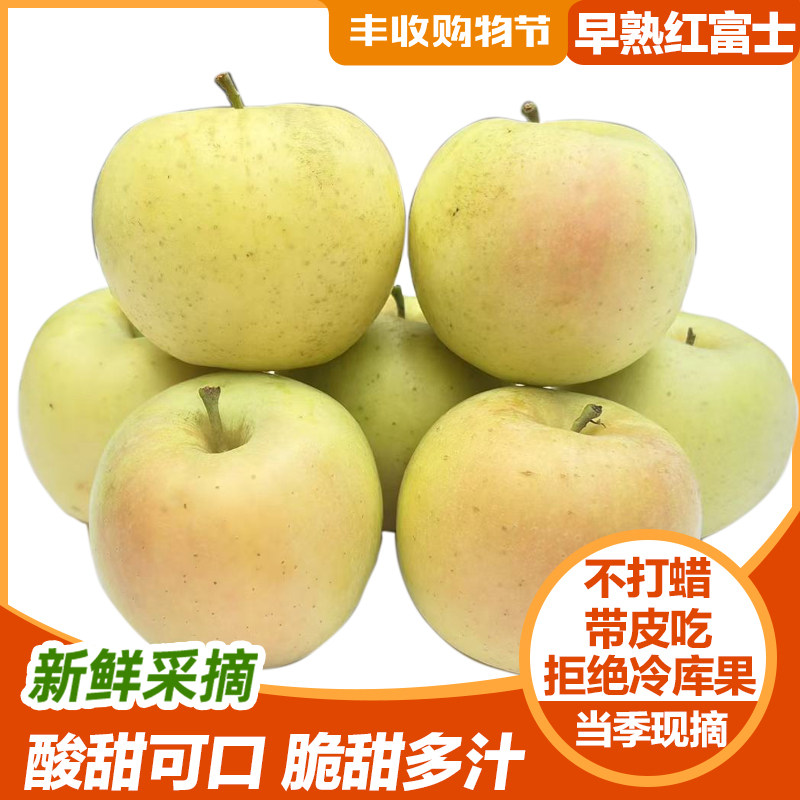 山东早熟红富士丑苹果当季新鲜孕妇水果现摘冰糖心酸甜整箱包邮5