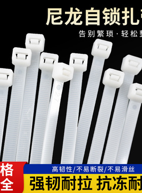 100根自锁式尼龙扎带3*100mm国标拉紧器束线带勒死狗扎丝国标扎绳