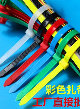 彩色自锁式尼龙扎带红绿黄蓝黑白国标塑料捆绑带扎线束线一拉得