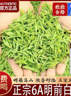 【明前嫩芽】正宗高山白茶2025新茶5000g毛尖绿茶浓香型官方正品