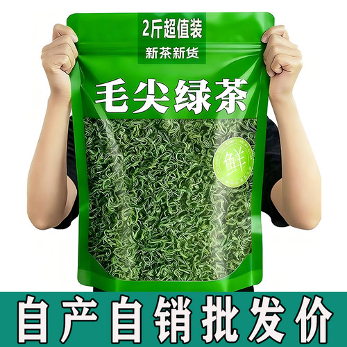 春茶高山云雾毛尖绿茶两斤