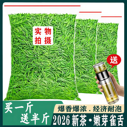 毛尖茶浓香型正宗嫩芽绿茶