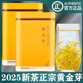 黄金芽明前高山浓香型2025新茶简装 一斤四罐500克 毛尖茶