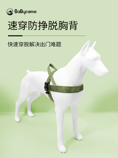 狗具抗分离狗柴犬柯基小,中,大型狗项圈项圈跑边境牧羊犬皮带