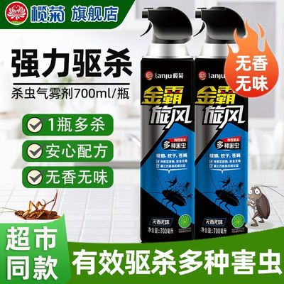 杀虫喷雾剂灭害灭蚊蟑螂药气雾剂