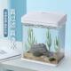 鱼缸造景客厅家用电视柜旁超白家庭懒人循环过滤生态亚克力小鱼缸