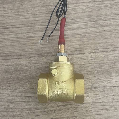 挡板式DN32/40/50缺水保护水流开关4/6分流量控制传感器感应开关