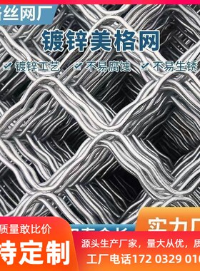 镀锌美格网菱形防盗网钢丝网片狗笼网隔离铁丝网养殖宠物防护