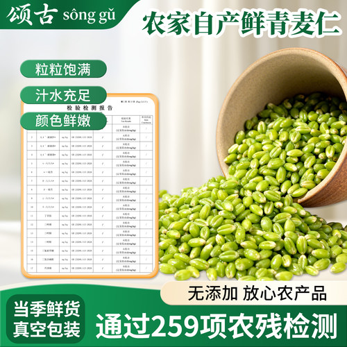 河南高品质去皮新鲜青麦仁粒米健身减脂控糖首选五谷杂粮四季可吃