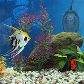 鱼缸加热棒自动恒温小型乌龟加热棒迷你防爆低水位加X温器棒电热