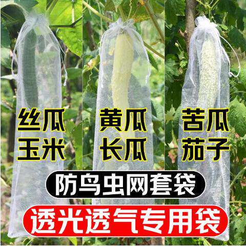 瓜果蔬果套袋丝瓜黄瓜苦瓜茄通用蔬菜专用果袋防虫防鸟水果网套袋