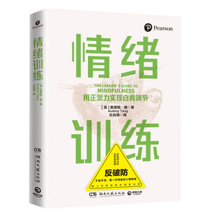 唐著 拉满职场稳定情绪技能 湖南文艺出版 社 神经语言规划NLP认证培训师奥德丽 情绪管理书籍 情绪训练