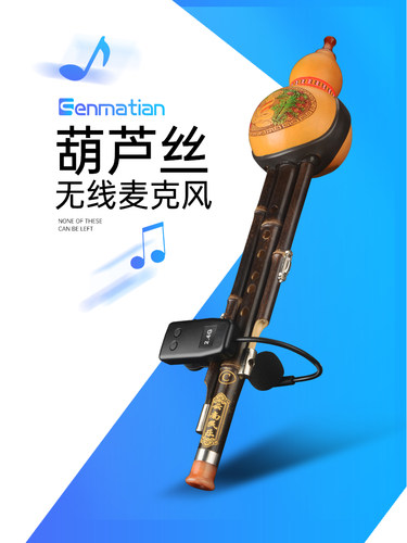 797 22.4G乐器无线麦克风专业葫芦丝拾音器一拖二舞台演出专用音