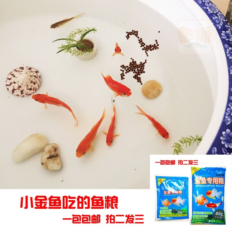 热带鱼饲料孔雀鱼小颗粒鱼食红绿灯斗鱼金鱼小型观赏鱼食通用饲料使用感如何?