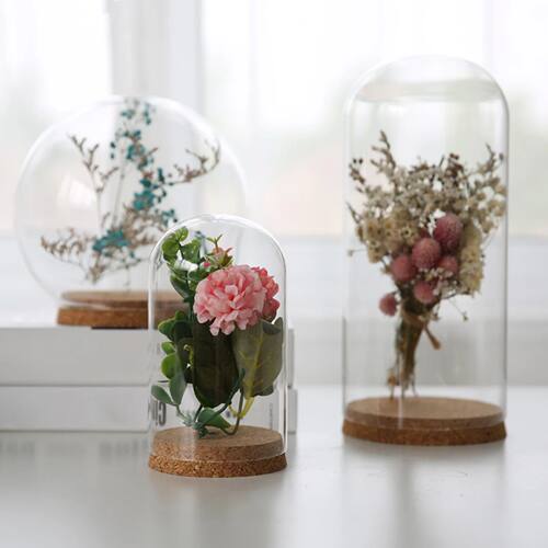 Glass Dome Wooden Base Container Tabletop Display Transparen