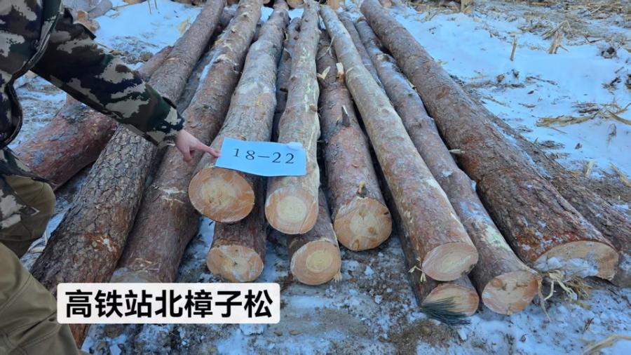 12月20日哈尔滨一面坡林场樟子松木材（八标段）网络拍卖公告